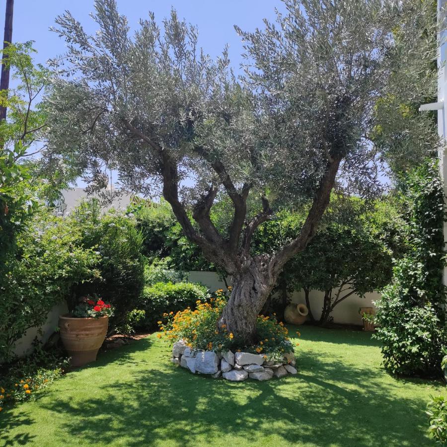 Porto Hydra - Villa Mirani แอร์มิโอนี ภายนอก รูปภาพ